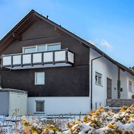 Daire Cozy In Altastenberg With Private Terrace